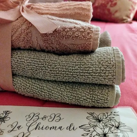 La Chioma Di Berenice Bed & Breakfast Celano