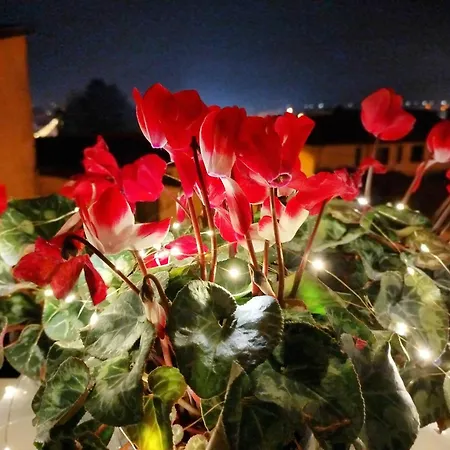 La Chioma Di Berenice Bed & Breakfast
