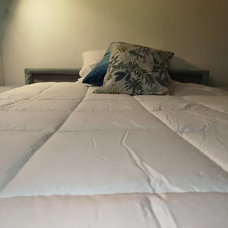 La Chioma Di Berenice