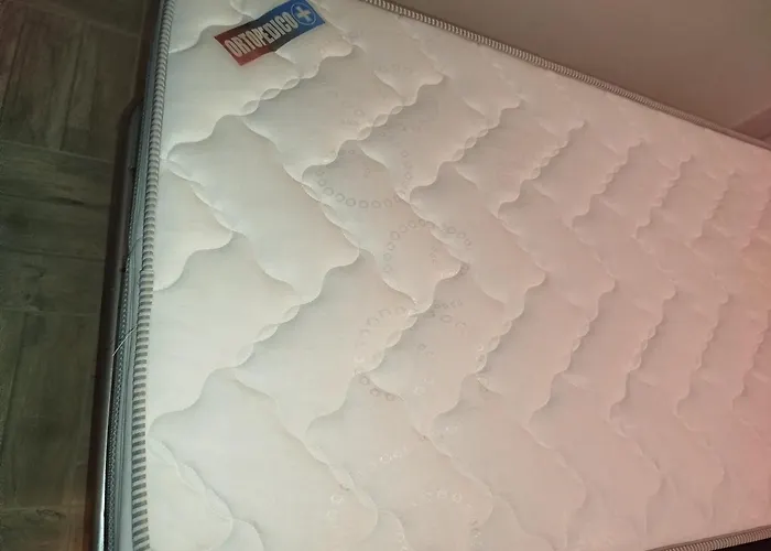 Bed and Breakfast La Chioma Di Berenice