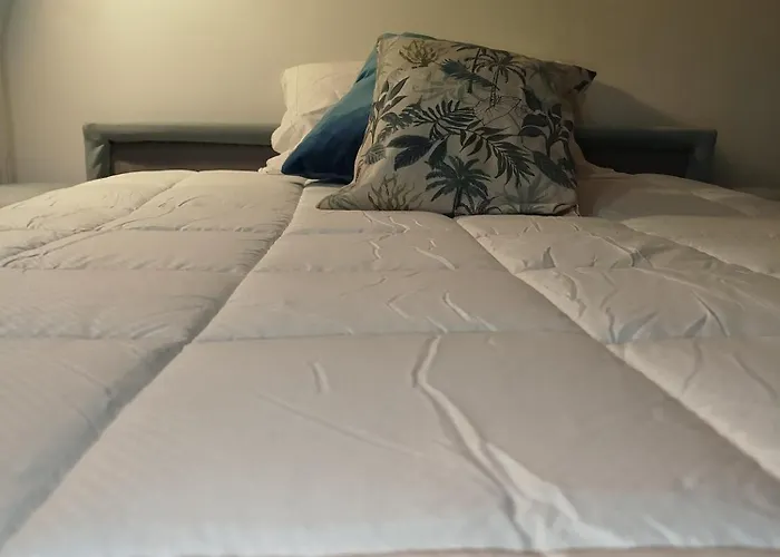 La Chioma Di Berenice